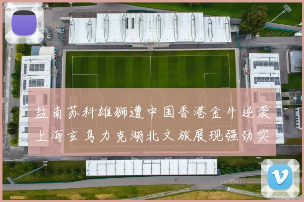 盐南苏科雄狮遭中国香港金牛逆袭上海玄鸟力克湖北文旅展现强劲实力